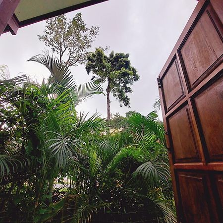 Papaya Cottage كو تشانغ الغرفة الصورة