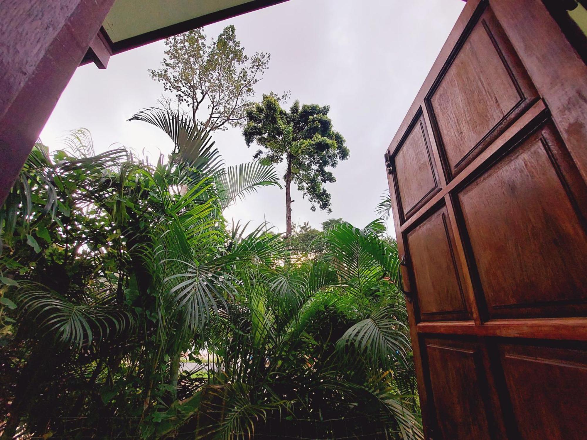 Papaya Cottage كو تشانغ الغرفة الصورة